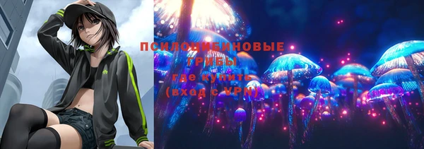 синтетический гашиш Новозыбков