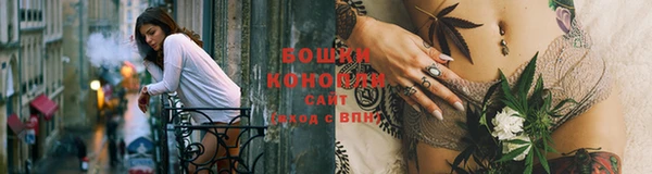 гашик Новокубанск