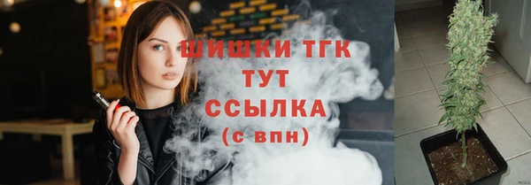 гашик Новокубанск