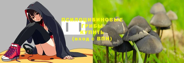 гашик Новокубанск