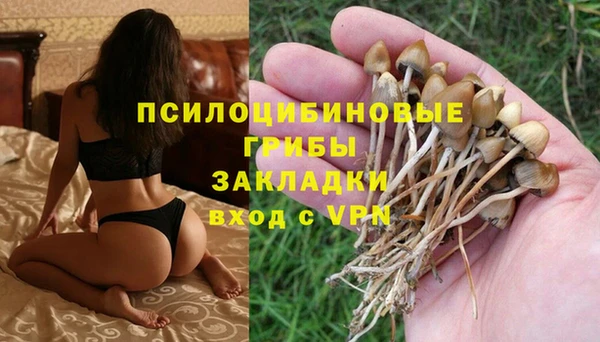 гашик Новокубанск