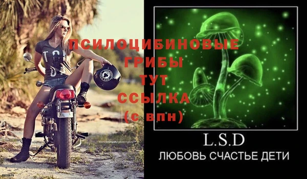 синтетический гашиш Новозыбков
