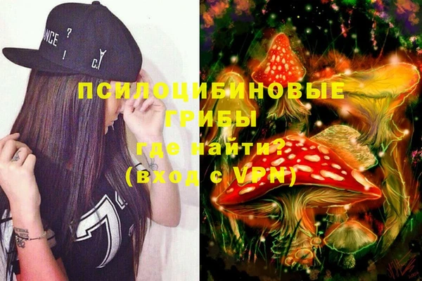 гашик Новокубанск