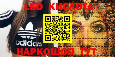 гидра Беслан